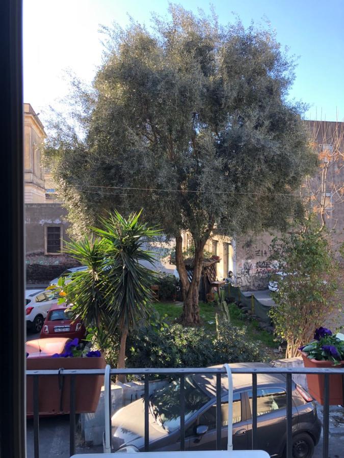 Via Idria 14 Apartman Catania-Fontanarossai nemzetközi repülőtér Kültér fotó